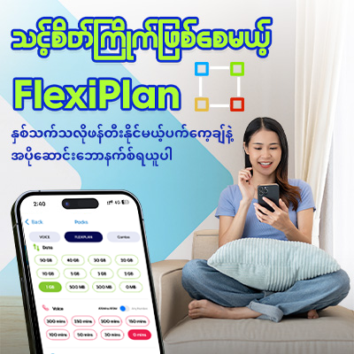 Flexiplan