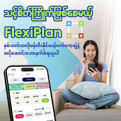 Flexiplan