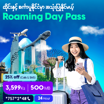 1 Day roaming pack