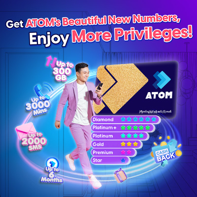 Vanity SIM