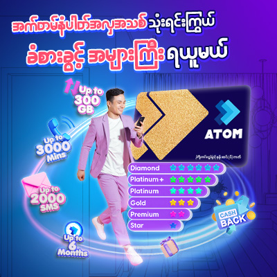Vanity SIM
