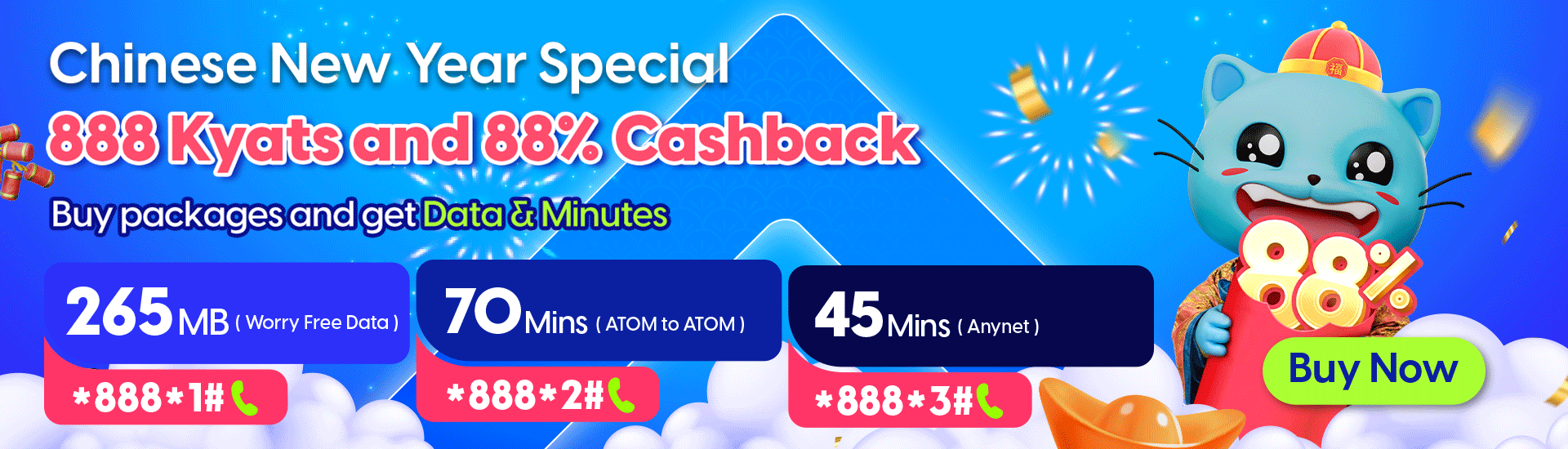 Chinese New Year Special Promotion