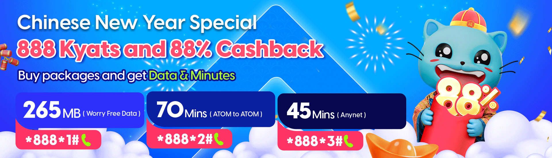 Chinese New Year Special Promotion