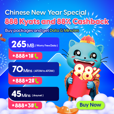 Chinese New Year Special Promotion