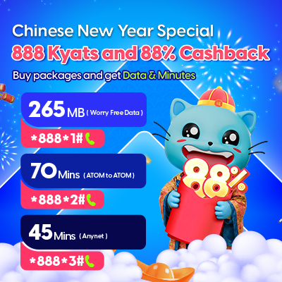 Chinese New Year Special Promotion