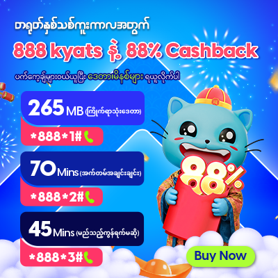 တရုတ်နှစ်သစ်ကူး အထူးပရိုမိုးရှင်း ပက်ကေ့ချ်များ