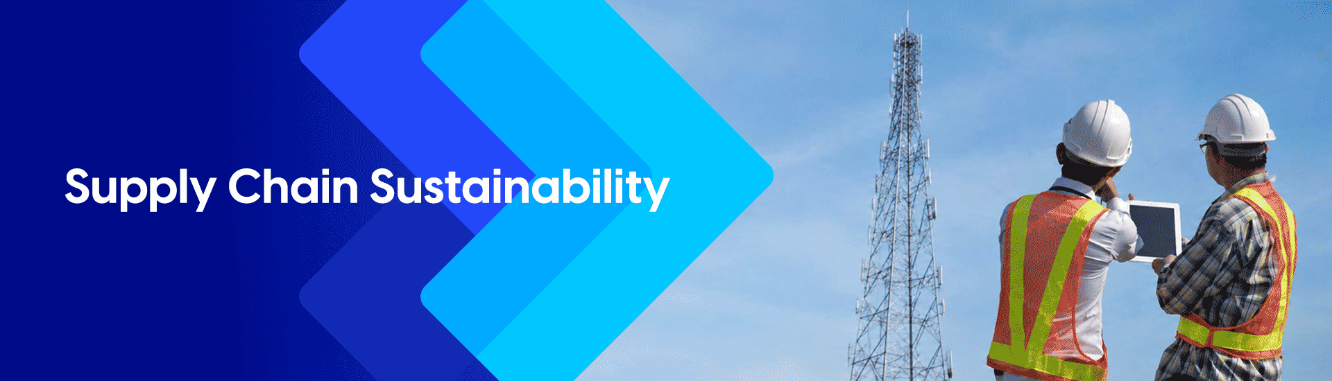 Supply Chain Sustainability